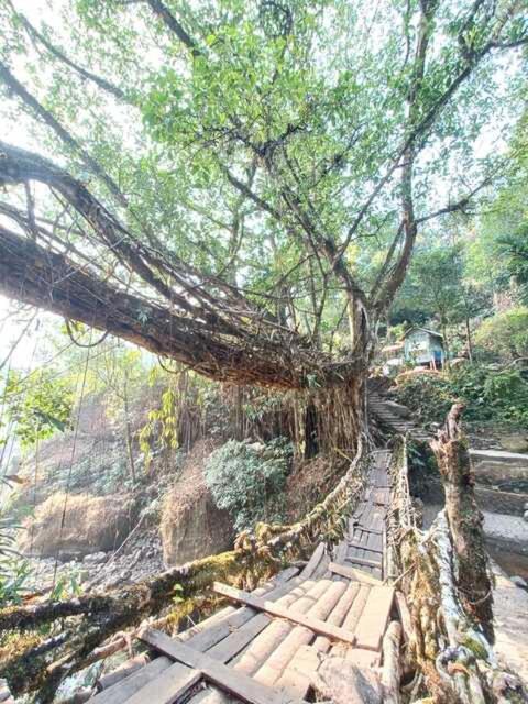 Odyssey Stays Nongriat - 3Kms Trek From Main Road Cherrapunji Exterior foto